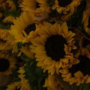 Meet your Posher, Asia cayralynn